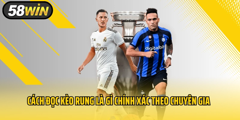 Cách đọc kèo rung là gì chính xác theo chuyên gia