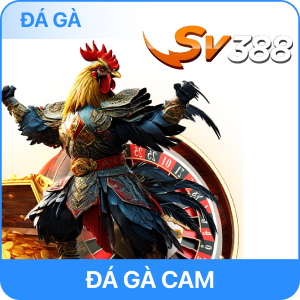 sảnh đá gà sv 58win.mov
