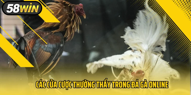 Các cửa cược thường thấy trong đá gà online