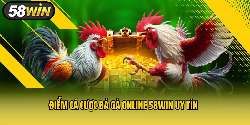 Điểm cá cược đá gà online 58WIN uy tín