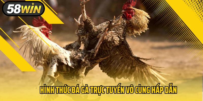 Hình thức đá gà trực tuyến vô cùng hấp dẫn