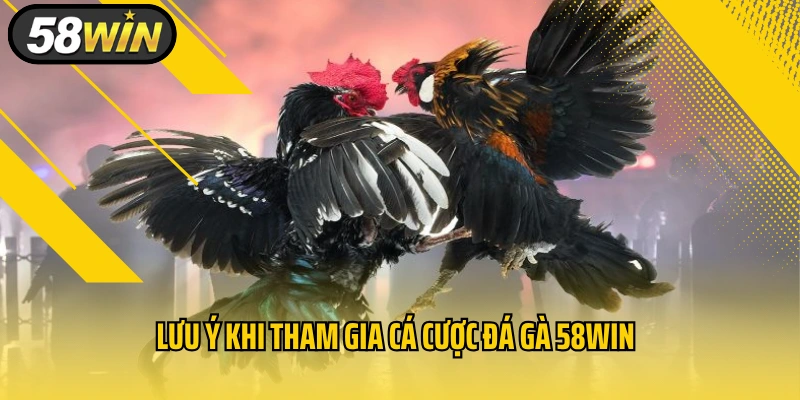 Lưu ý khi tham gia cá cược đá gà 58WIN