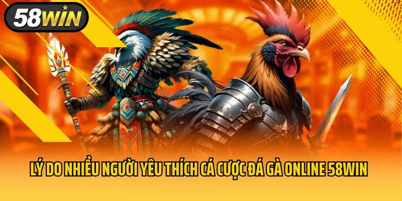 Lý do nhiều người yêu thích cá cược đá gà online 58WIN