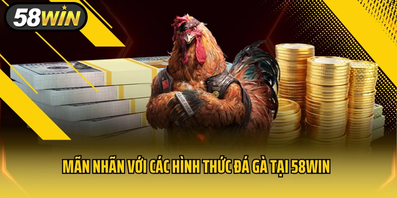 Mãn nhãn với các hình thức đá gà tại 58WIN