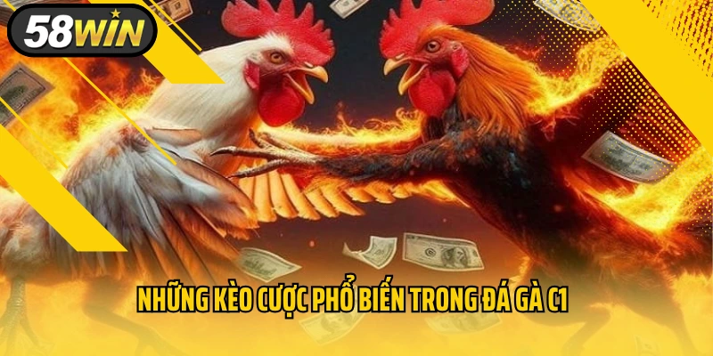 Những kèo cược phổ biến trong đá gà C1