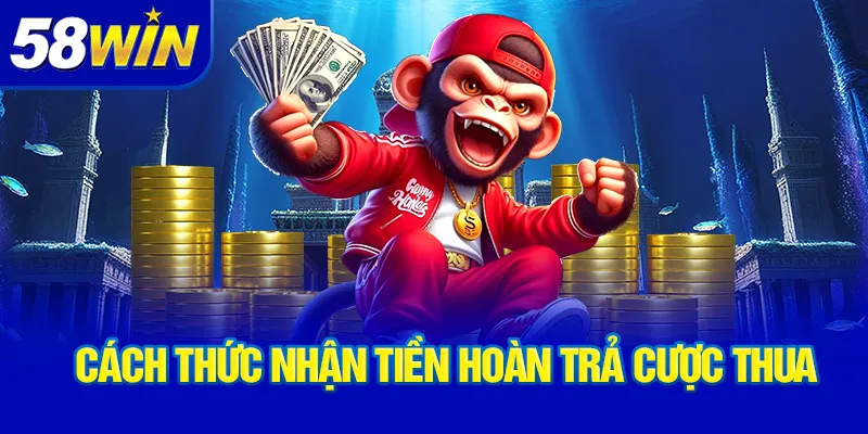 cach-thuc-nhan-tien-hoan-tra-cuoc-thua_24_11zon